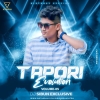 BIRTHDAY SPECIAL TAPORI EVOLUTION VOL.5 (2024) DJ SIBUN EXCLUSIVE