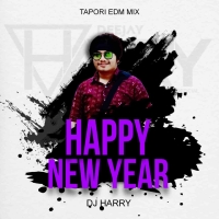 New Year Special Circuit Dance Mix (2026) Dj Harry Official