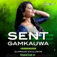 Sent Gamkauwa (Bhojpuri Mix) Dj Pravat Exclusive.mp3