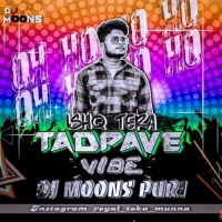 ISHQ TERA TADPAVE (VIBE) DJ MOONS PURI.mp3