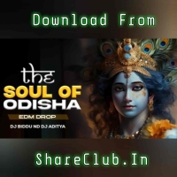 THE SOUL OF ODISHA (EDM DROP MIX) DJ BIDDU AND DJ ADITYA.mp3