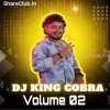 ZINDA BANDA (TAPORI MIX) DJ KING COBRA