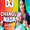 To Duare Haba Changu Mada Vs Dalema Panner (Odia Trance Ft Ira Mohanty) Dj Oye Debashis