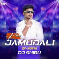 Rasa Jamudali (Edm Tapori Mix) Dj Shibu Official.mp3