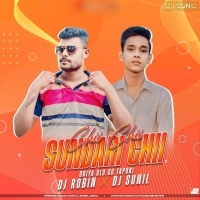 CHII CHII SUNDARI CHII (ORIYA OLD CG TOPARI) DJ ROBIN X DJ SUNIL.mp3