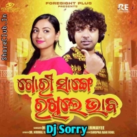 Gori Sange Rakhile Bhaba (Tapori Edm Mix) Dj Sorry.mp3