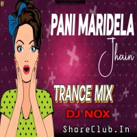 PANI MARIDELA JHAIN (TRANCE MIX) DJ NOX.mp3