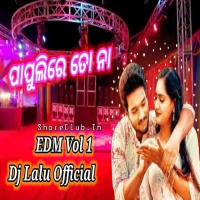 Papulire To Naa (Edm Vol.1) Dj Lalu Official.mp3