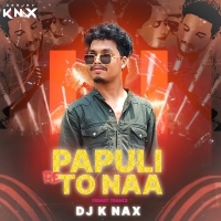 Papuli Re To Naa (Freaky Trance Song) Dj K Nax.mp3