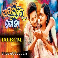 Papulire To Naa (Trading Odia Circuit Dance Mix) Dj BCM.mp3