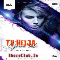 TU HEIJA GHARA WALI (REMIX) DJ FREESTYLZ FT DJ D NOIZ.mp3