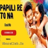 PAPULIRE TO NAA (CIRCUIT MIX) DJ RJ BHADRAK