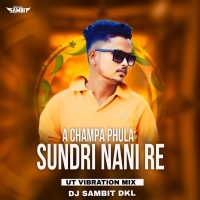 A CHAMPA PHULA SUNDRI NANI RE (UT VIBRETION MIX) DJ SAMBIT DKL.mp3