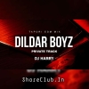 DILDAR BOYZ PRIVATE TRACK (NAUGHTY BASS MIX) DJ HARRY