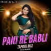 Pani Re Babli (Cg Viral Tapori Mix) Dj X Black