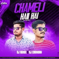 CHAMELI HAI HAI (CG TOPARI TRANCE MIX) DJ RAHUL X DJ CHANDAN.mp3