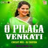 O Pilaga Venkati (Circuit Mix) Dj Choton