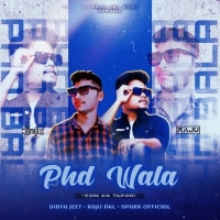 PHD WALA (EDM CG TAPORI) DJ DIBYA JEET X RAJU DKL X SPARK OFFICIAL.mp3