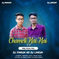 Chameli Hai Hai 2.0 (Mbj Style Mix) Dj Pinkun X Dj Linkun.mp3