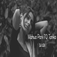 MAHUA PANI (EDM TRANCE MIX) DJ LEX.mp3