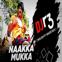 NAAKKA MUKKA (NAUGHTY BASS MIX) DJ R3.mp3