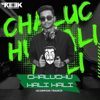 Chaluchu Hali Hali (Scorpion Trance) Dj Reek.mp3