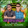 Hawa Hawa (Freaky Dance) Dj Rudra Empire Nd Dj Litu