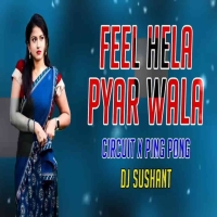 Feel Hela Pyar Wala (Circiut X Ping Pong) Dj Sushant.mp3