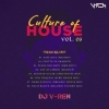 Dard E Disco (Organic House Mix) DJ V REN