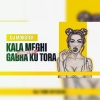 KALA MEGHI GABHA KU TORA (DYNAMIC MIX) DJ MONSTER