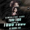 BHAL PAUCHHUN TODO TODO (TAPORI EDM MIX) DJ RAHUL JSG