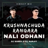 KRUSHNACHUDA RANGARA NALI ODHANI (CIRCUIT MIX) DJ SORRY X DJ RANJIT PROFESSIONAL