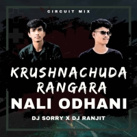 KRUSHNACHUDA RANGARA NALI ODHANI (CIRCUIT MIX) DJ SORRY X DJ RANJIT PROFESSIONAL.mp3