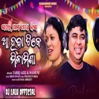 Sare Gama Padha Nisha Aa Haba Tike Milamisha (New Odia Dance Song) Dj Lalu Official.mp3