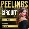 PEELINGS (CIRCUIT MIX) DJ LEX