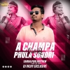 A CHAMPA PHULA SUNDRI NANI RE (SAMBALPURI RHYTHM) DJ VICKY