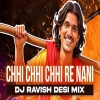 Chhi Chhi Chhi Re Nani (Desi Mix) DJ Ravish