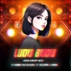 Ludu Budu (Edm x Drop) Dj Sibu Nayagarh x Dj Lipu Angul