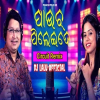 Pouch Pelei De (Slow Circuit) Dj Lalu Official Remix Ft Abhijit Majumdar.mp3