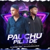 Pauchu Pilei De (Odia Dance Mix) Dj Sambit X Dj Litu