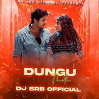 DUNGU THILI (ODIA REMIX) DJ SRB OFFICIAL.mp3