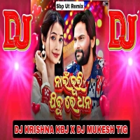 Nai Bhuli Jibu Re Dhana (Sambalpuri Ut Mix) Dj Krishna Kbj X Dj Mukesh Tig.mp3