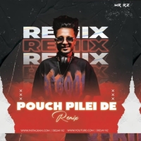 POUCH PILEI DE DJ MR RZ REMIX.mp3