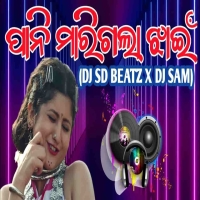 Pani Marigala Jhain 2.0 (Circuit Mix) SD Beatz X Dj Sam.mp3