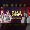 Malli Dhapa Ananta (Circuit Remix) Dj Sk Talcher