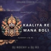 KAALIYA RE MANA BOLI TORA KICHI NAHI (SOUND CHECK) DJ ROCKY X DJ R3