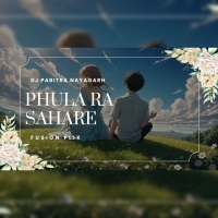 Phula Ra Sahare Ghara (Odia Romantic Remix) Dj Pabitra Nayagarh.mp3
