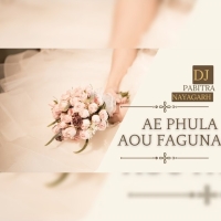 AE PHULA AOU FAGUNA TUMARI PAIN (UT VIBRATION MIX) DJ PABITRA NAYAGARH.mp3