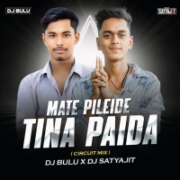 Mate Pileide Tina Paida (Circuit Mix) Dj Bulu X Dj Satyajit.mp3