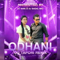 HAI RE MORA NUA ODHANI (ODIA CG TAPORI MIX) DJ RANI X DJ BADAL BRX.mp3